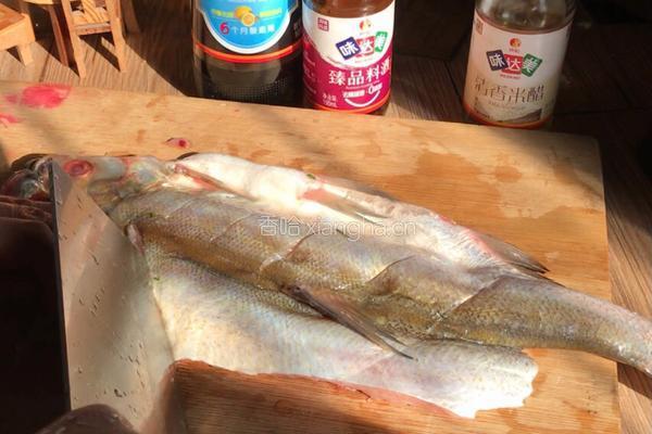 清蒸刁子鱼的做法图解2