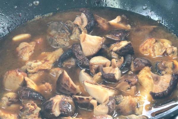 香菇土豆烧鸡的做法图解18