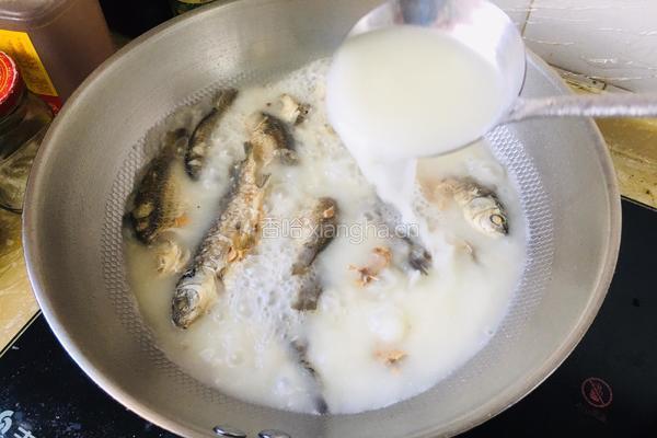 野生鲫鱼汤的做法图解3
