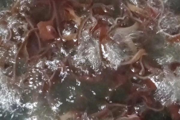 凉拌木耳金针菇的做法图解10
