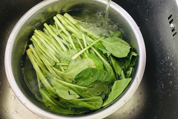 白灼菜心的做法图解2
