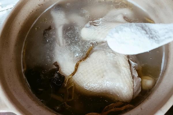 霍山石斛炖鸡的做法图解8