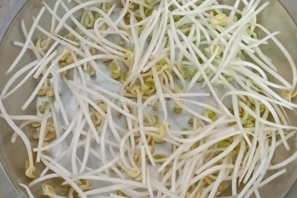 韭菜豆芽炒米粉的做法图解3