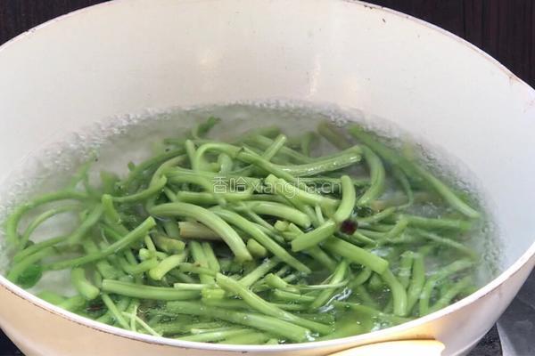 苋菜梗拌鸡丝的做法图解8