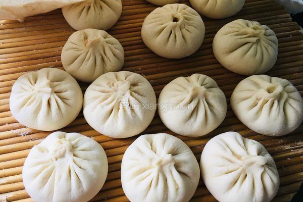 大肉西葫芦包子的做法图解9