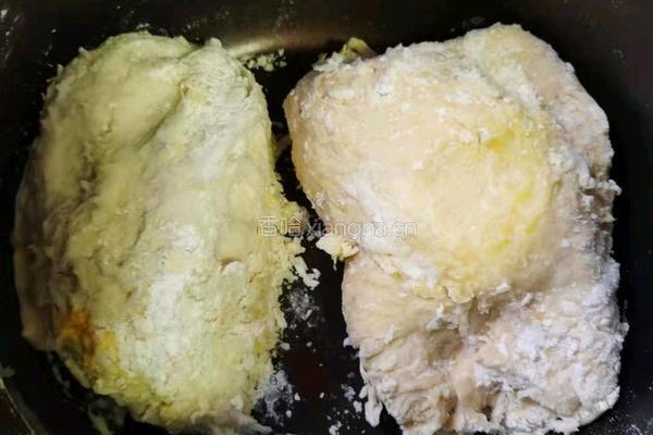 香酥油饼的做法图解3