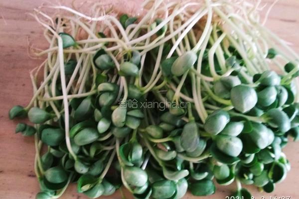 耗油炒豆苗的做法图解1