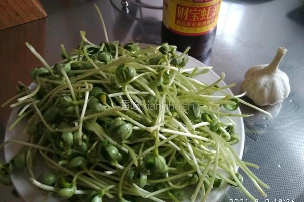 耗油炒豆苗的做法图解3