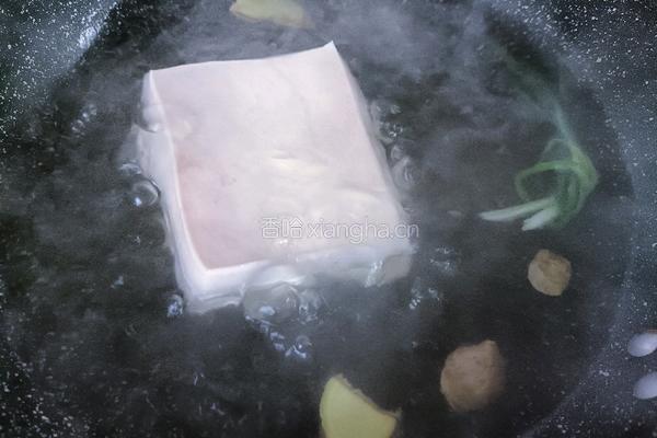 懒人东坡肉的做法图解6