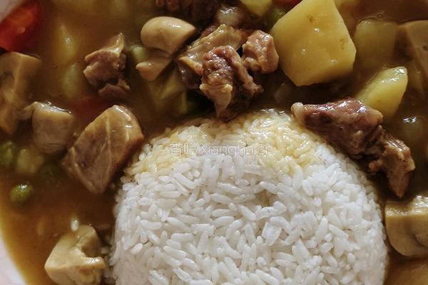 咖喱牛肉的做法图解5