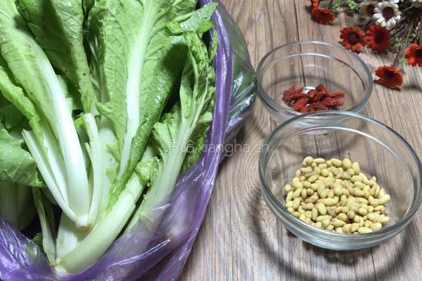 瓜子仁炝白菜的做法图解1