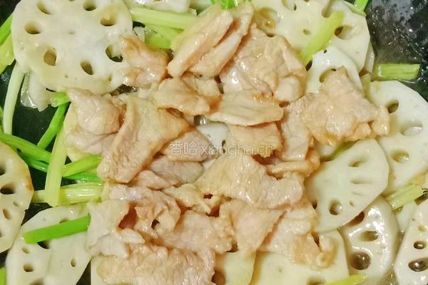 莲藕炒肉片的做法图解14