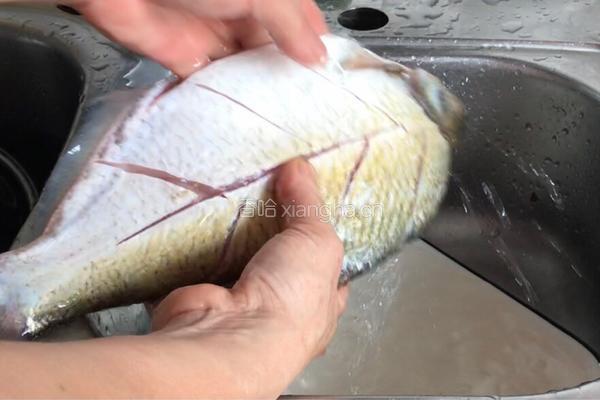 红烧武昌鱼的做法图解3