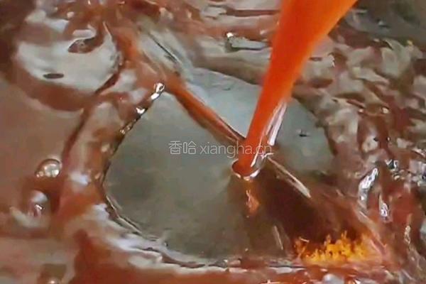 葱烧海参的做法图解12