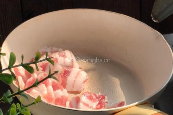 海带炒肉的做法图解8