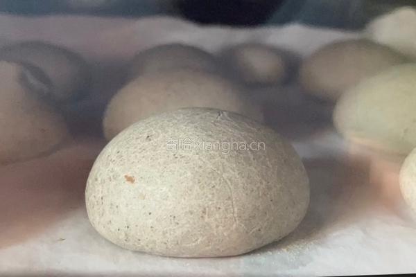 豹纹饼干的做法图解10
