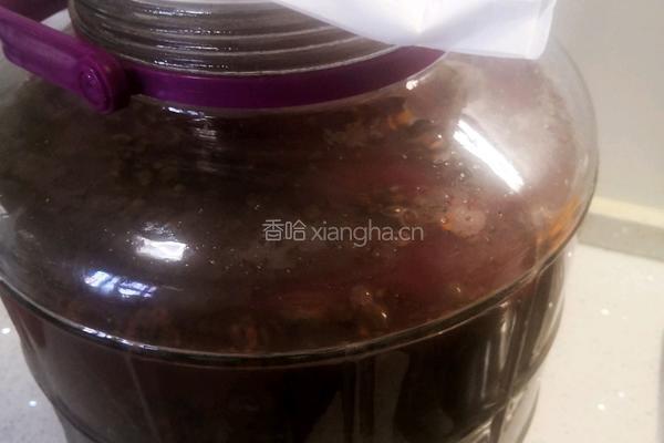 葡萄果醋的做法图解10