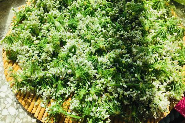 腌韭菜花的做法图解2