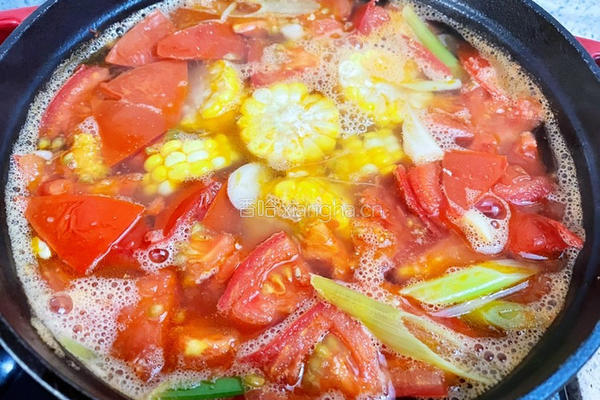 西红柿玉米土豆排骨汤的做法图解9