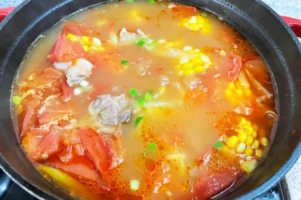 西红柿玉米土豆排骨汤的做法图解15
