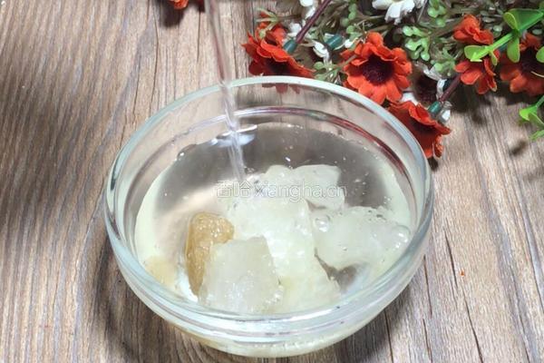 苹果炖银耳的做法图解6