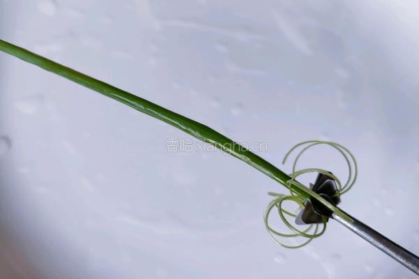 翡翠白玉虾的做法图解14