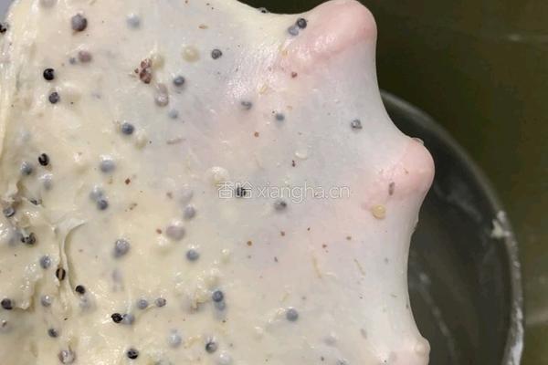 尝试不同的做法 加了藜麦的牛奶吐司面包的做法图解5