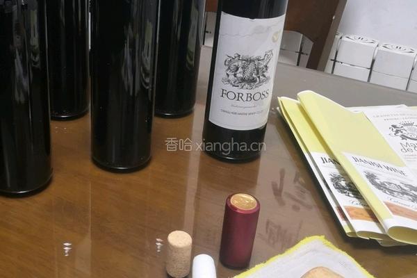 家庭酿造葡萄酒的做法图解10