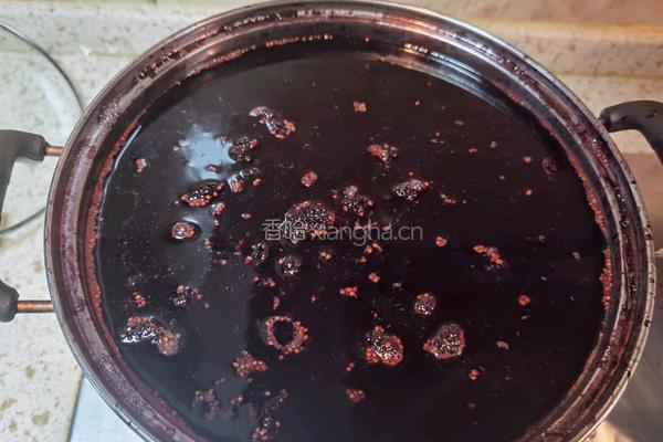 桑椹膏的做法图解2