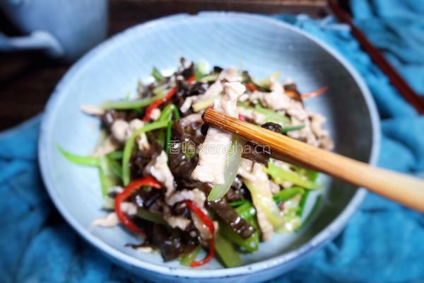 芹菜木耳炒肉丝的做法图解15