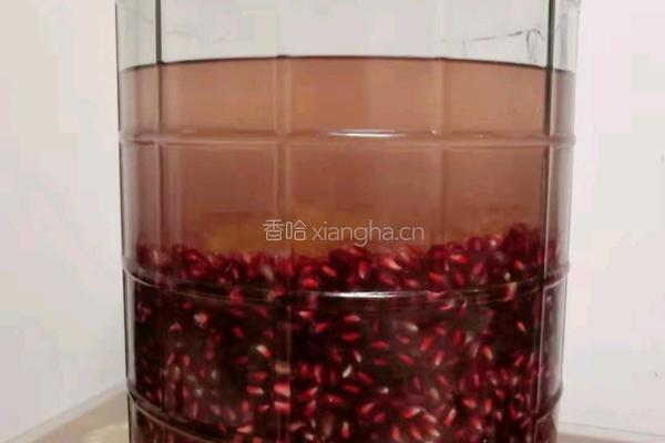 石榴果酒的做法图解8