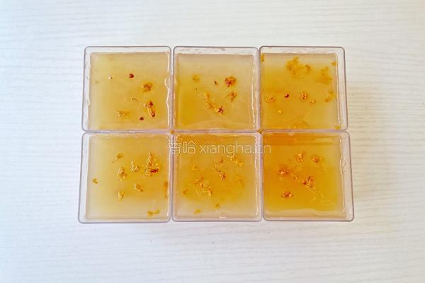 黄金梨桂花冻的做法图解8