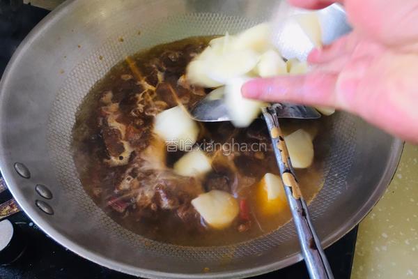 西红柿土豆炖牛肉的做法图解4