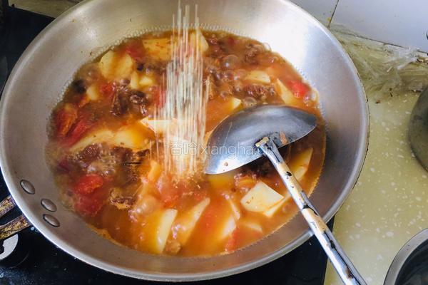 西红柿土豆炖牛肉的做法图解7