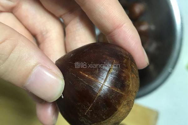空气炸锅板栗的做法图解2