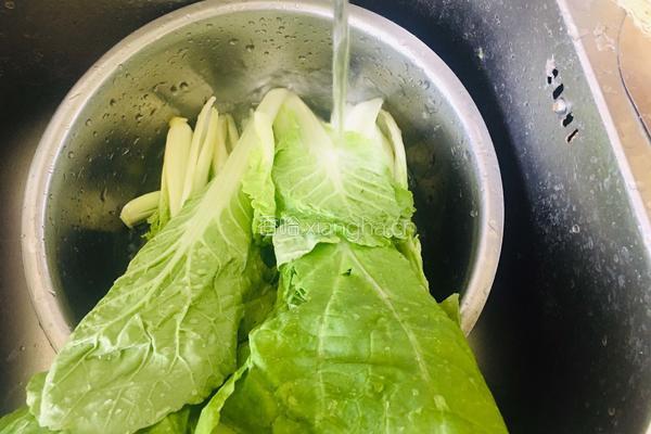 蒜香小白菜的做法图解1