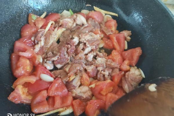 番茄菌菇炖猪肉的做法图解9