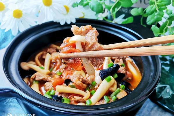 番茄菌菇炖猪肉的做法图解18