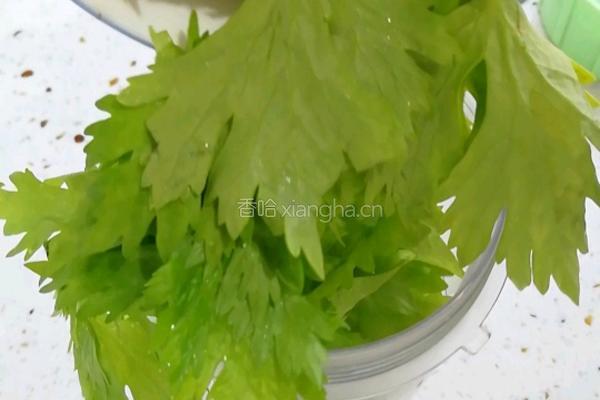 芹菜汁手擀面的做法图解1