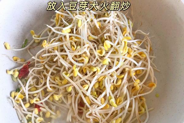 醋溜豆芽的做法图解3