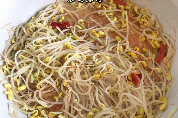 醋溜豆芽的做法图解4