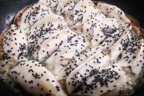 青白萝卜肉馅 锅贴饺的做法图解19