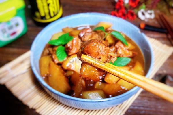 白萝卜炖猪肉的做法图解12