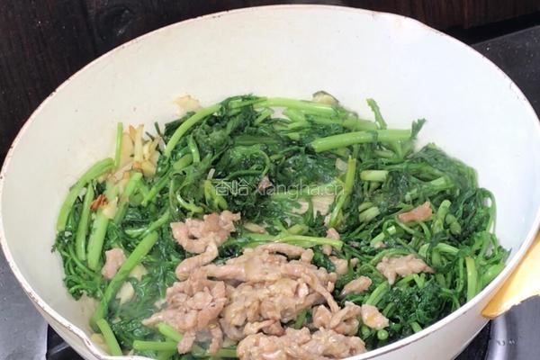 茼蒿炒肉丝的做法图解9