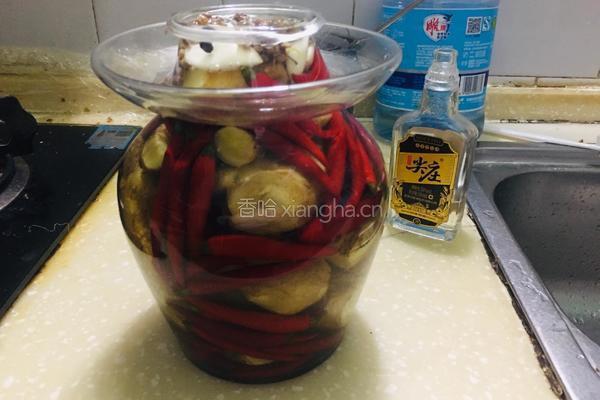泡仔姜的做法图解8