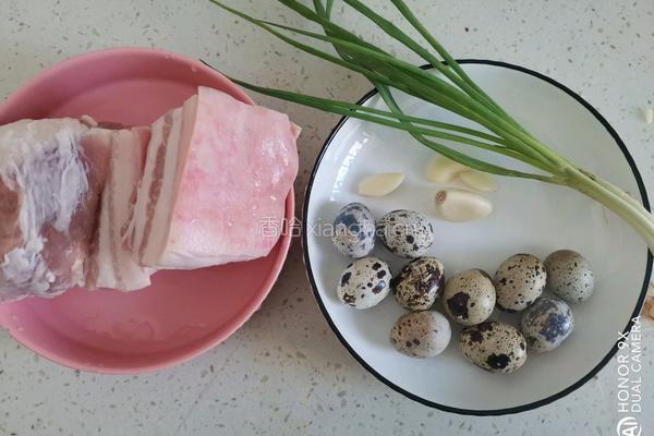 鹌鹑蛋蒸肉末的做法图解1
