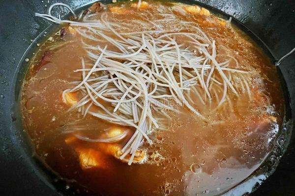 猪肉白菜炖粉条的做法图解15