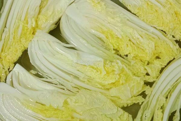 肉末蒸娃娃菜的做法图解8