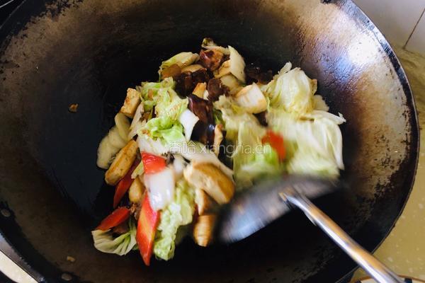 白菜粉条炖豆腐的做法图解7