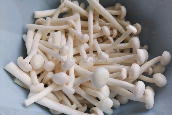 虾仁丝瓜炒白玉菇的做法图解4